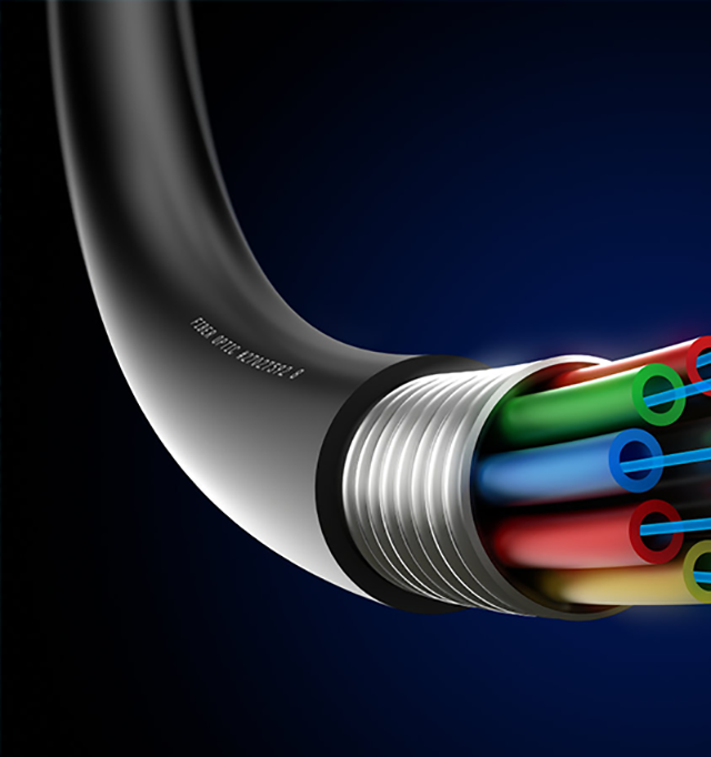 LAN Cables