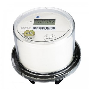 China Single Phase ANSI Meter LY-ANSI11 factory and suppliers | Linyang