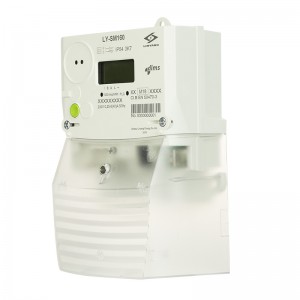 China Smart Single Phase Meter LY-SM160 factory and suppliers | Linyang