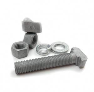Manufacturer for Square Washers -
 Factory Price T-head bolts halfen bolt – Liqi