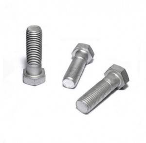 Europe style for Wing Nuts -
 Hot sales Hot Dip Galvanizing Custom Hex Head Bolt – Liqi