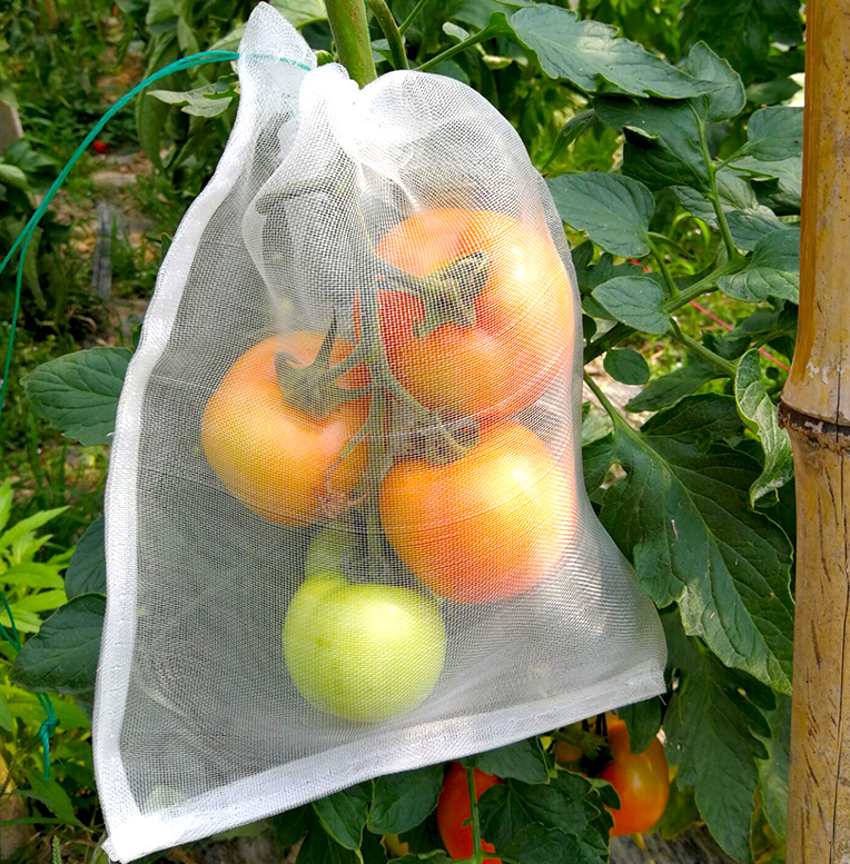 Sieť proti hmyzu na pestovanie paradajok, ovocia a zeleniny