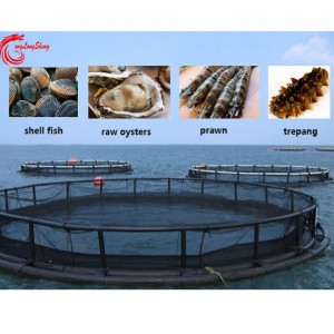 Filet de cage flottante d'aquaculture pour les coquillages de concombre de mer, etc.