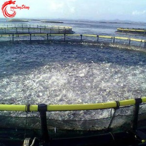 Filet de cage flottante d'aquaculture pour les coquillages de concombre de mer, etc.
