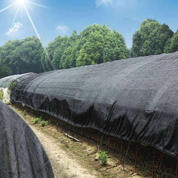 Protecció UV de xarxa de parasol negre per a la plantació d'hivernacles