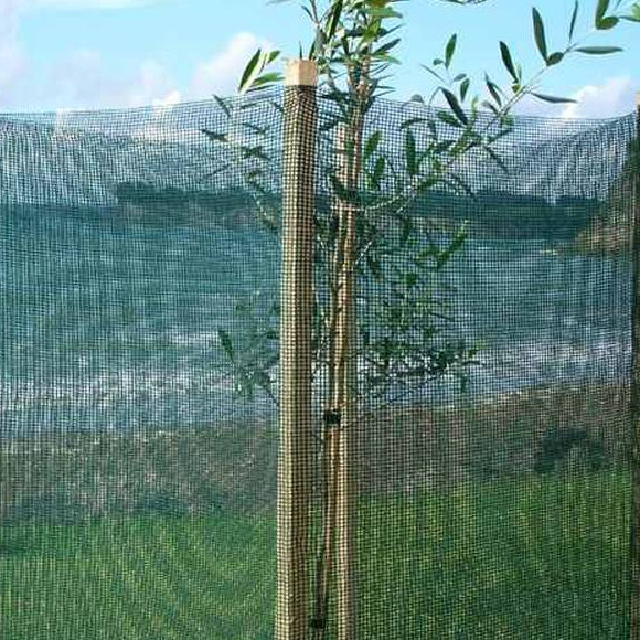 પાકના નુકસાનને ઘટાડવા માટે કૃષિ વિન્ડબ્રેક નેટ્સ