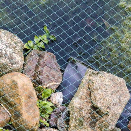Jaring penutup kolam untuk melindungi kualitas air mengurangi daun yang jatuh