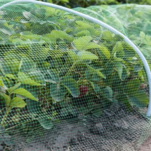 Strawberry support cover protect net