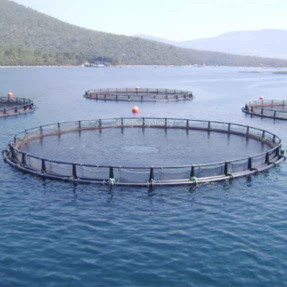 Akvakultúra úszó ketrecháló tengeri uborka kagylóknak stb