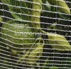 Hail Net To Protect Crops From Storm And Hail Damage