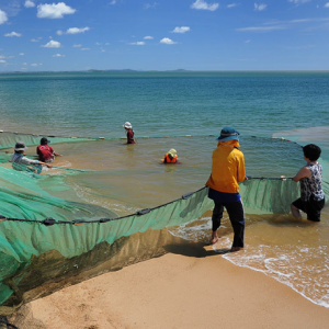 Large-scale Net For Fishing With High Fishing Efficiency