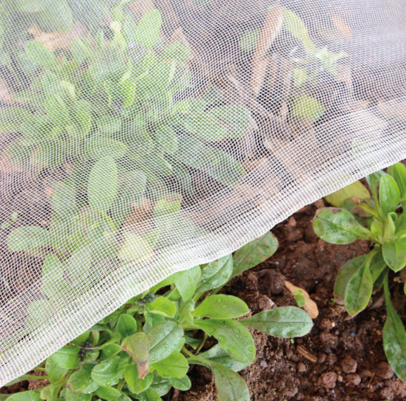 the selection of insect nets need to pay attention to several issues: