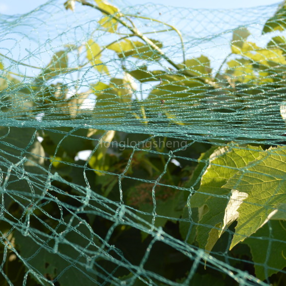 Rrjetë kundër shpendëve pa nyjë për frutat dhe perimet