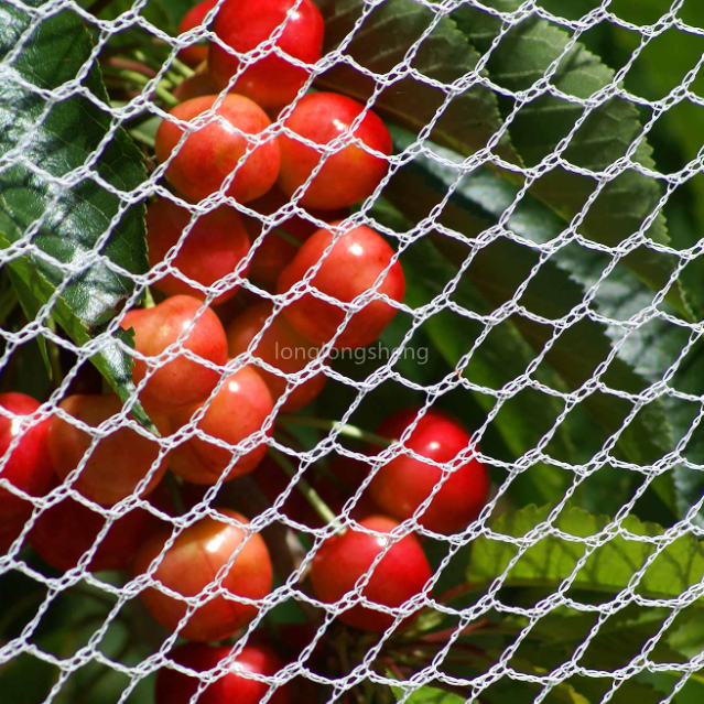 Spî Anti Bird Net To Protect Orchard