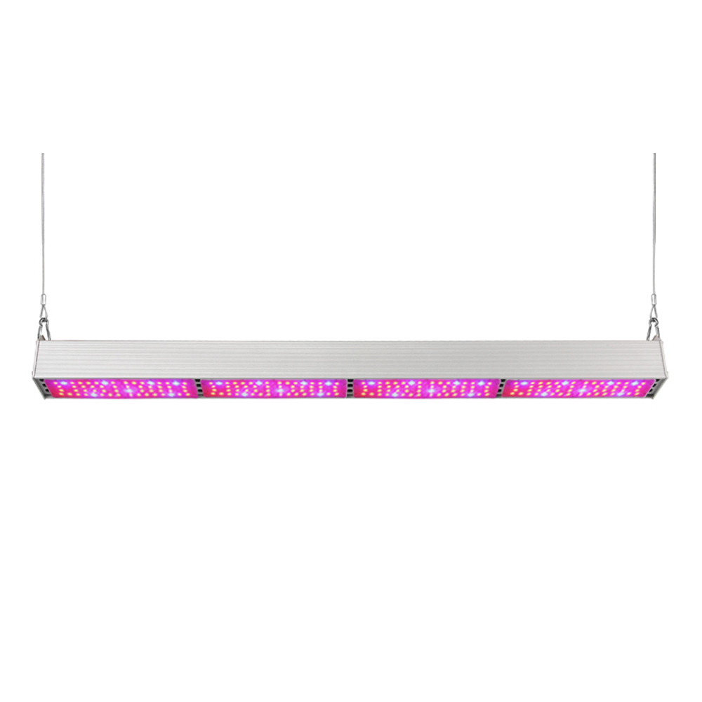 Hot sale 24v Led Lights - 200W LED Linear Grow Light – Lowcled