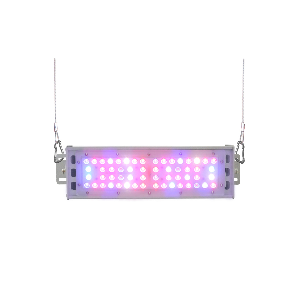 Wholesale Strip Led Factory - 50W LED Linear Grow Light – Lowcled