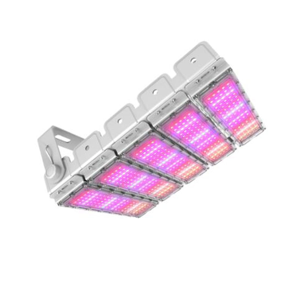 China Bluetooth Bulb Suppliers - 300W Full Spectrum Led Grow Light 300watt Greenhouse Grow Lamp Cob Horticulture Hydroponic Light for Indoor Plant full Spectrum LED Grow Lights Bar – Lowcled