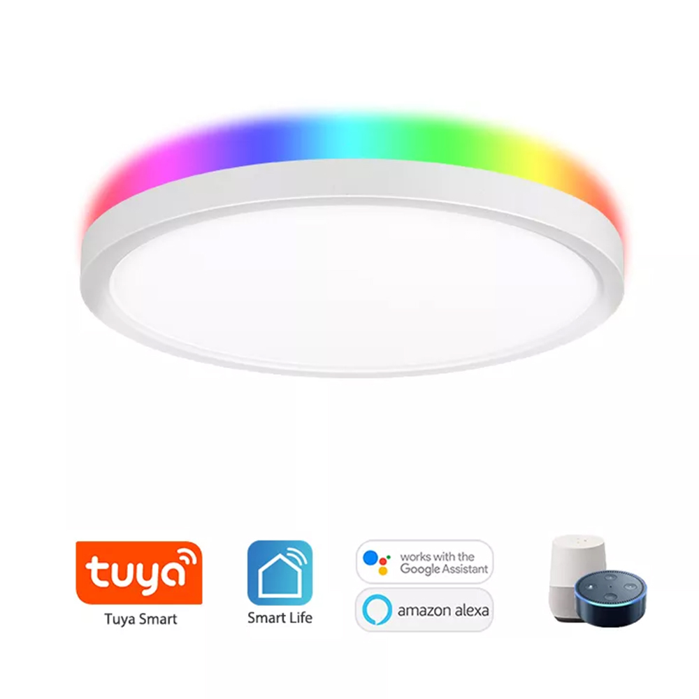 Smart WIFI+BLE Ceiling Panel light Featured Image