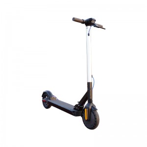 CE/EN15194 Two wheel electric scooter R8.5-4 Adults
