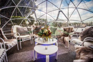 Градска купола за градина или коктел забава купола шатор