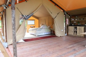 Pārdošanā Safari telts luksusa audekls, kas mirdzošs Nr.035