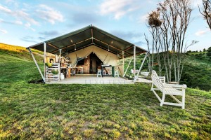 Tendë e shtëpisë me veglat e fabrikës për madhësi me porosi Tenda e kampingut Safari NO.036
