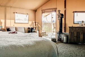 Safari-telttahotellitehtaassa myytävänä ylellinen hehkuva talo NO.038