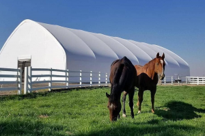 factory Outlets for Disaster Relief Tents - Big Event Sport Parking Appon Curved Tent – Aixiang