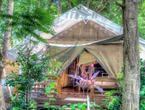 Prodaja luksuzni safari šotorski hotel za kampiranje NO.015