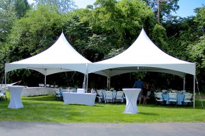 Super Purchasing for High Quality Frame Tent Pagoda Gazebo Tent for Garden Marquee Event in USA