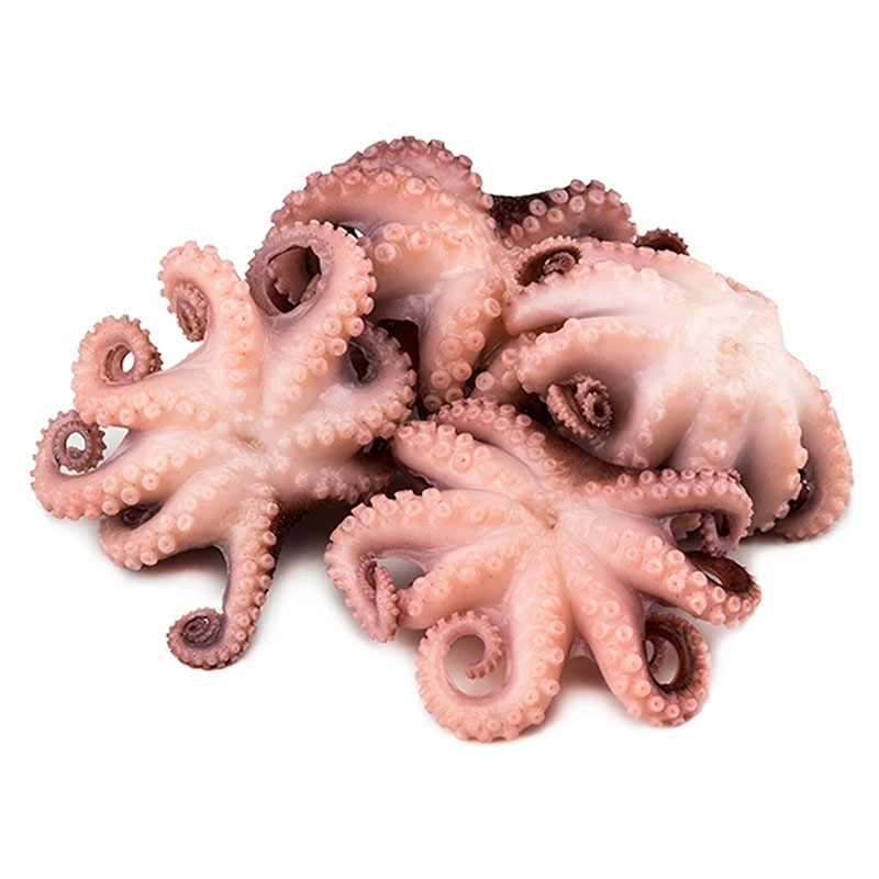 Manufacturer for Vannamei Shrimp Pud - Baby Octopus – Makefood