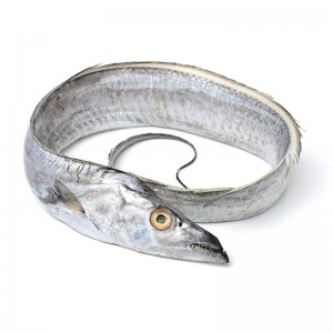 100% Original Seafrozen Horse Mackerel - Ribbonfish – Makefood