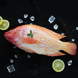 Frozen Red Tilapia Gutted And Scaled