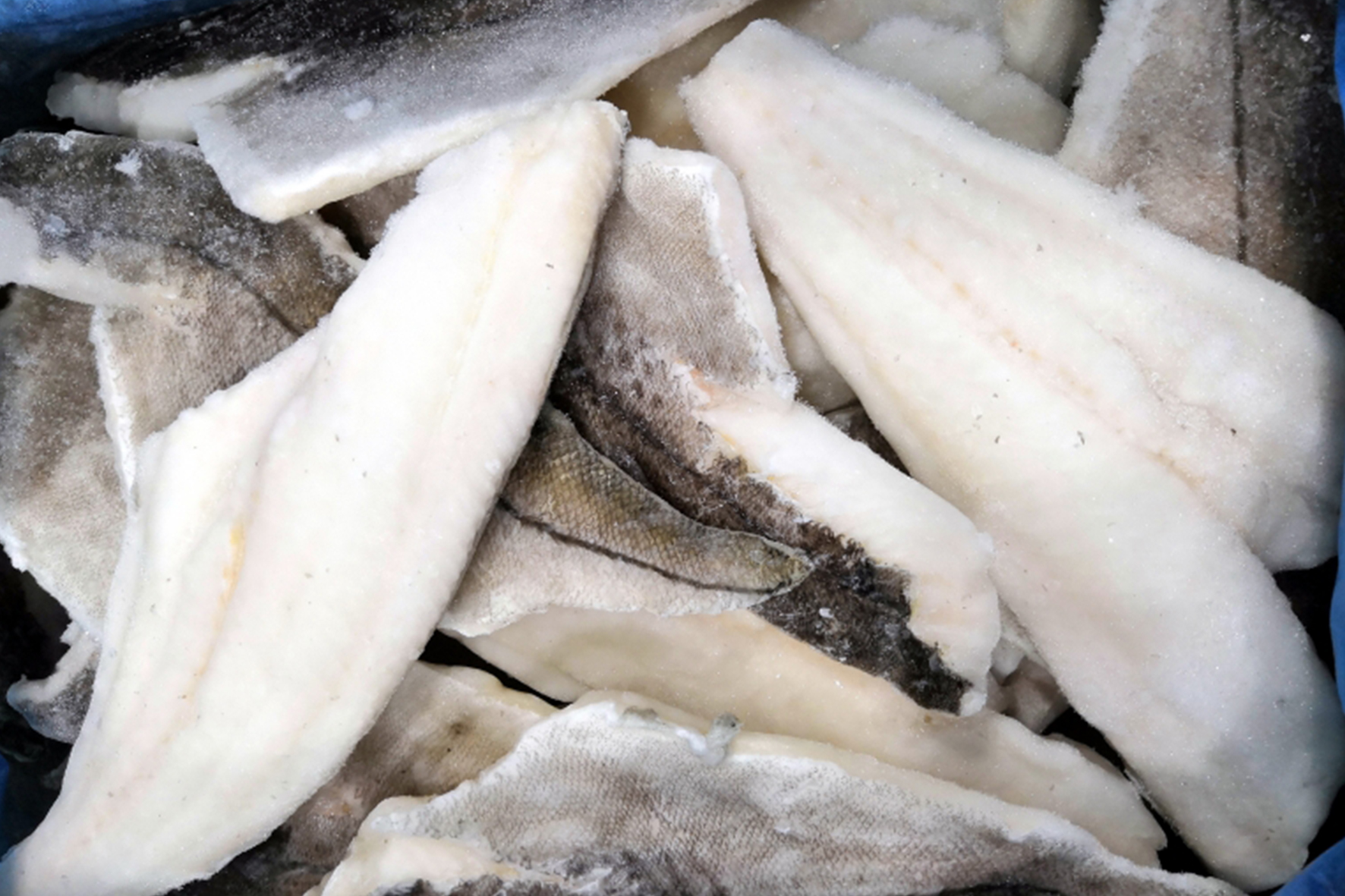 High prices drove UK to import less haddock and cod in 2022, but pay more for it