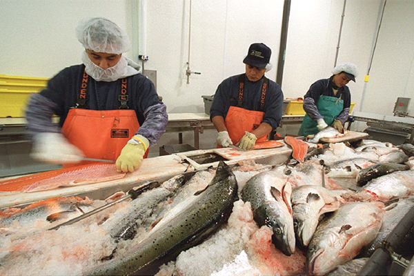 Seafood workers at higher risk for contracting COVID-19, study finds