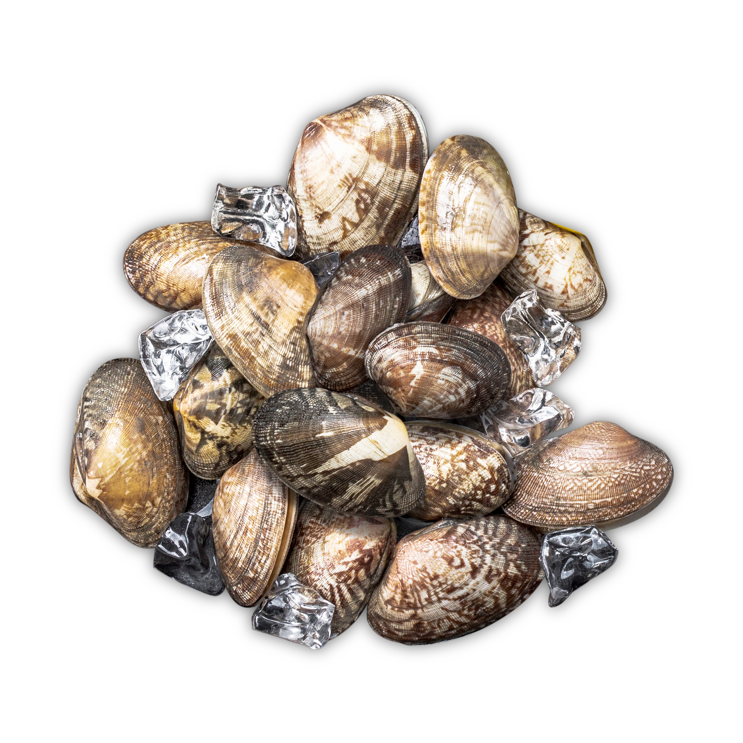 Well-designed Chinese Frozen Golden Pomfret Supplier - clam – Makefood