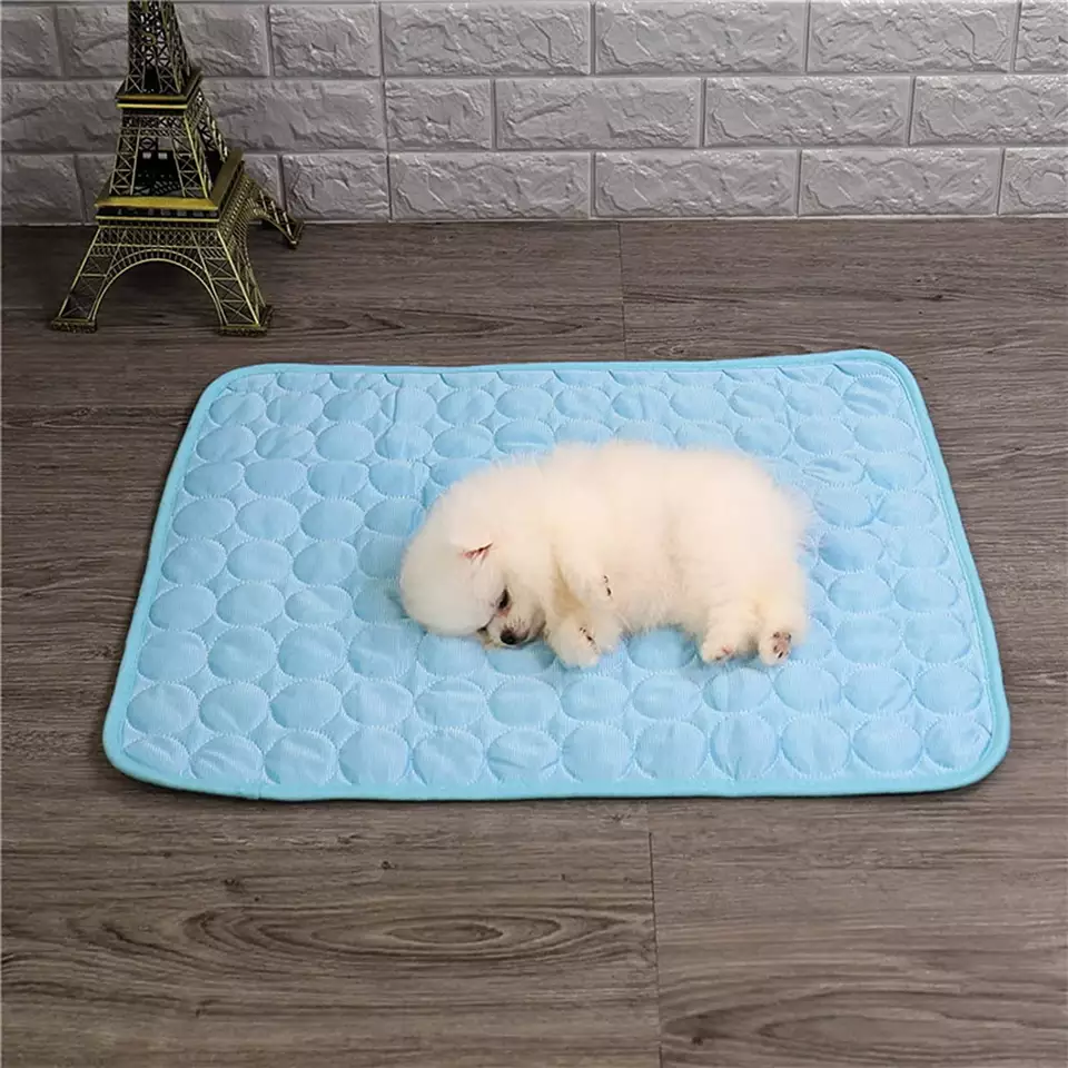 What Are Washable Puppy Pads?