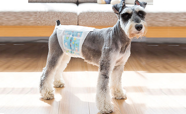 dog diapers