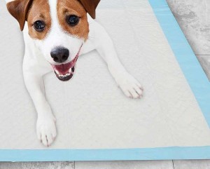 Soft Quick Drying Pet Puppy Training Pad Super Absorbent Leak Proof Training Dog Pad