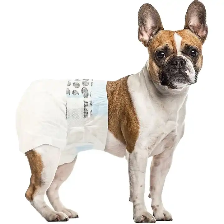 Naka-customize na Kulay na Mga Disposable Pet Diaper na Super Absorbent Pet Training Diapers Wholesale