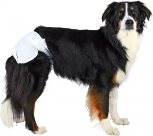 Popok hewan peliharaan Penyerap SML XL untuk anjing jantan dan betina Popok Anjing Sekali Pakai Perlindungan Kebocoran