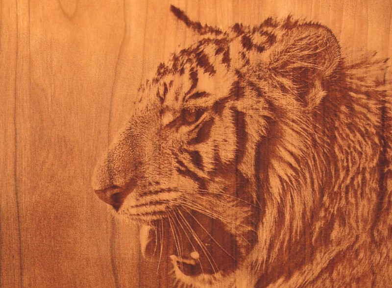 Gravado en madeira-Tigre-Redimensionado