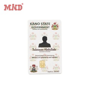 Stampa personalizzata di carte d'identità scolastiche/aziende/governative con foto