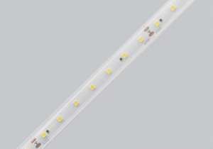 China Silicone Encased Led Strips –  ip65 waterproof led strip lights outdoor – Mingxue