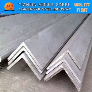 China Gold Supplier for Hot Rolled Mild Steel Equal Angle Bar With