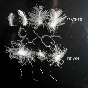 2-4cm Bantal Bulu Bebek Putih, Kasur, Isi Bantal