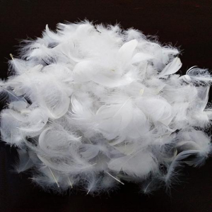 2-4CM&4-6CM White Goose Soft Feather Down Comforter Pillow Quilt