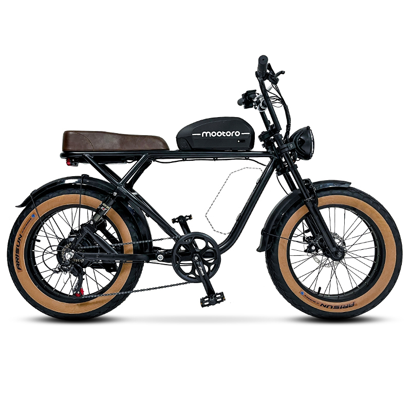20 inch 1000w Electric Bike R1 Plus— 48V/20Ah Fat tire
