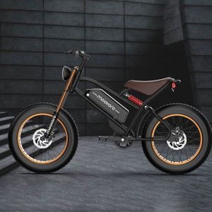 D1 PRO Dirt E-Bike–4000W & 52V/20Ah Front & Rear Dual-Motor Ebike Supplier