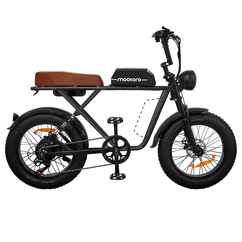 20 inch Electric Mountain Bike R1 PRO  — 48V/12.5Ah & 750W Best Electric Bicycle under 2000 Featured Image